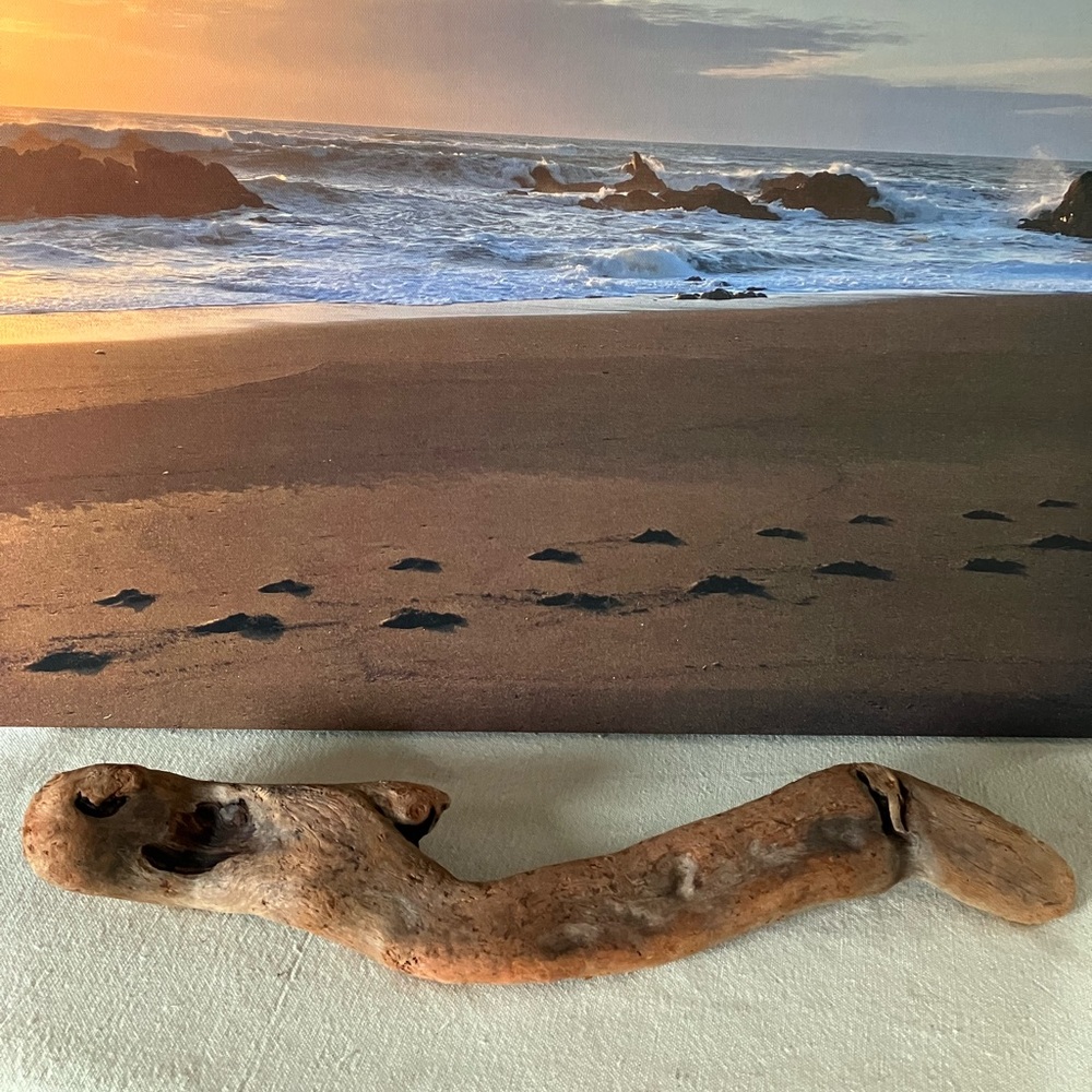 ‘Serpent’ Driftwood